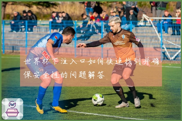 世界杯下注入口如何快速找到并确保安全性的问题解答
